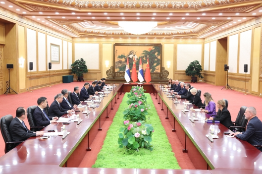 习近平会见塞尔维亚总统武契奇2
